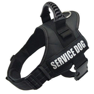 Correa de Tracción Antiexplosiva - Image 9