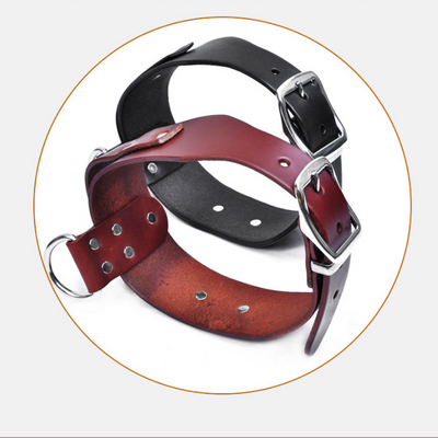 Collar Ajustable para Perros Medianos y Grandes - Image 4