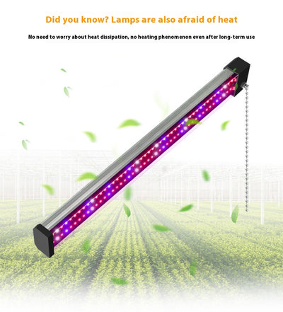 Barra LED de Espectro Completo para Plantas Suculentas - Image 13