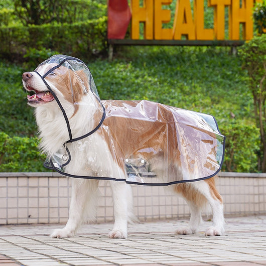 Impermeable Transparente para Perros Pequeños y Medianos con Capucha - Image 4