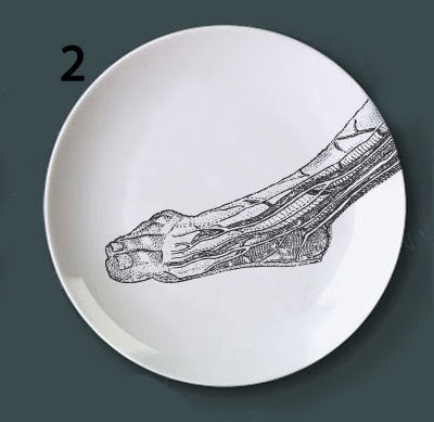 Placa Decorativa de Anatomía Ósea - Image 30