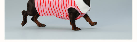 Chaleco sin Mangas para Perro Pequeño Rayas Rojo - Image 18