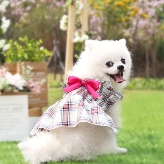 Vestido Princesa para Pasear Perros - Tallas Pequeña y Mediana