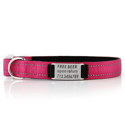 Collar de Perro Personalizado de Nylon - Image 14