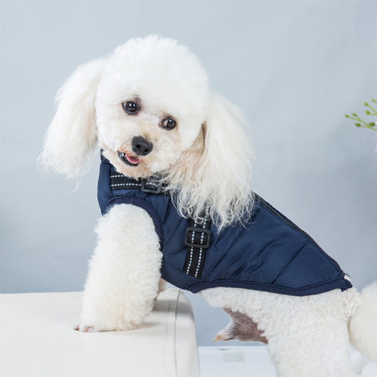 Ropa Impermeable y Térmica para Mascotas - Image 3