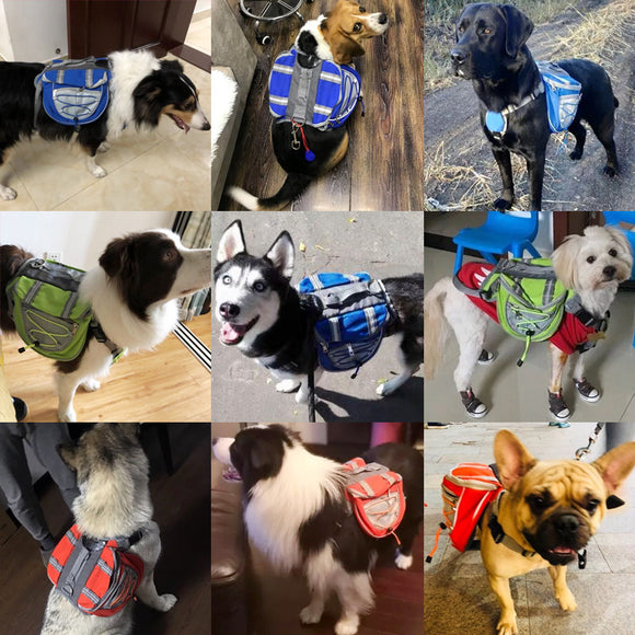 Mochila de Transporte para Mascotas - Portabebé Ergonómico para Viajes
