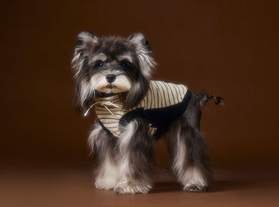 Suéter Tejido sin Mangas para Perros Pequeños Bichón Maltés York - Image 10