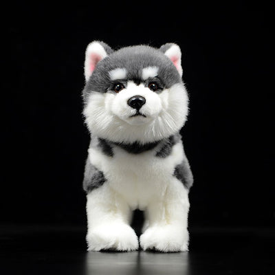 Peluche Perro Husky Siberiano Gris - Muñeco Realista de Simulación - Image 4