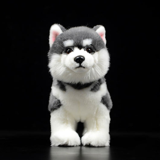 Peluche Perro Husky Siberiano Gris - Muñeco Realista de Simulación - Image 4