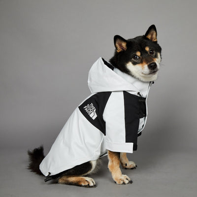 Impermeable para Perros Grandes Resistente al Viento y la Lluvia - Image 9