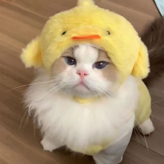 Gorro Felino de Moda: Expresa tu Personalidad y Creatividad - Image 7