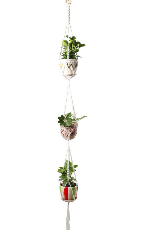 Colgador de Plantas Tejido Artesanal para Pared - Image 10
