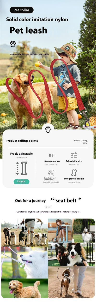 Cuerda de Paseo para Perros de Nylon Resistente - Image 19