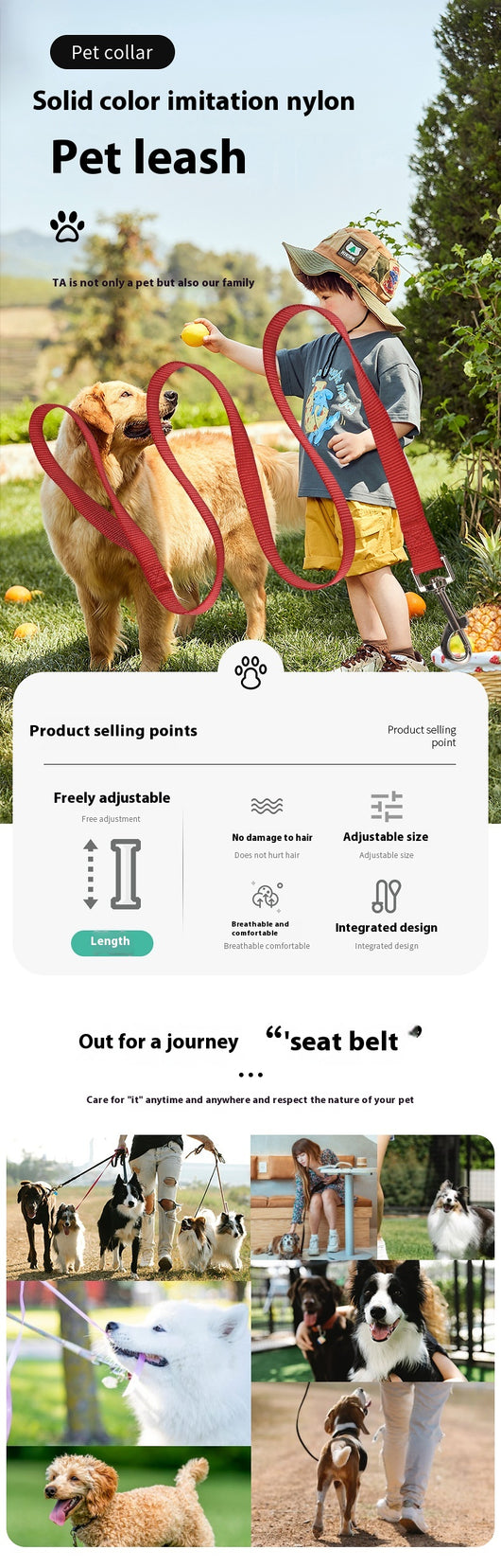 Cuerda de Paseo para Perros de Nylon Resistente - Image 19