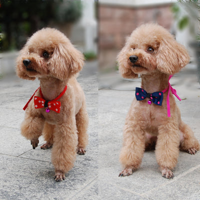 Moños y Accesorios para Mascotas - Image 3