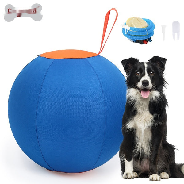 Blue and orange pet training ball with a fabric handle, designed for dogs like Shiba Inu and Corgi.