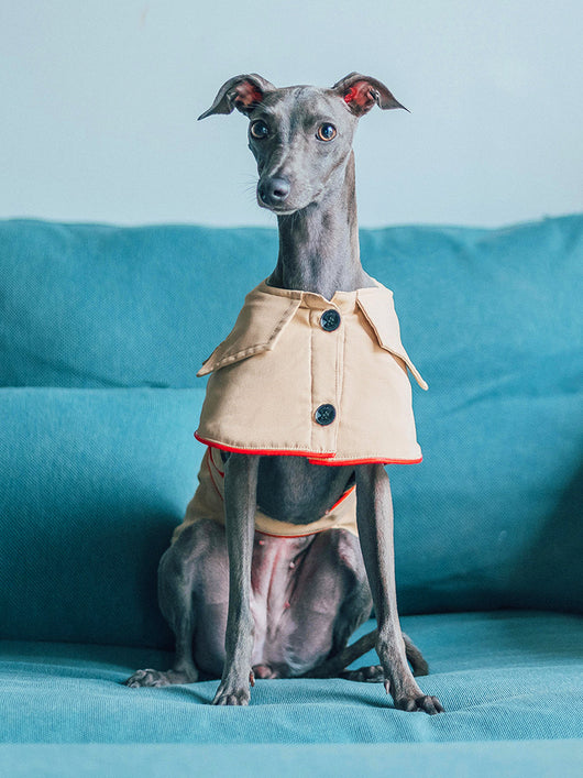Abrigo de Algodón 100% para Perros - Ropa Cómoda y Práctica - Image 4