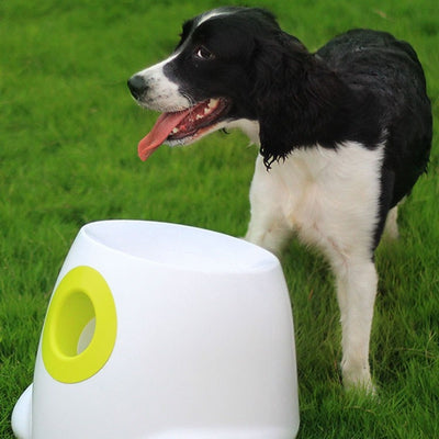Lanzador Automático de Pelotas de Tenis para Perros - Image 5