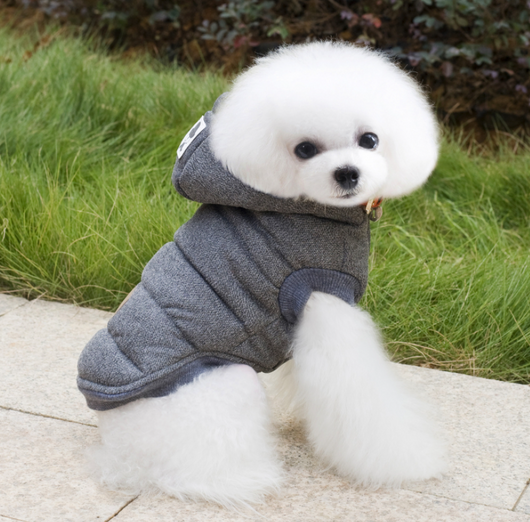 Abrigo de Invierno para Mascotas Pequeñas con Diseño de Bigote - Image 9