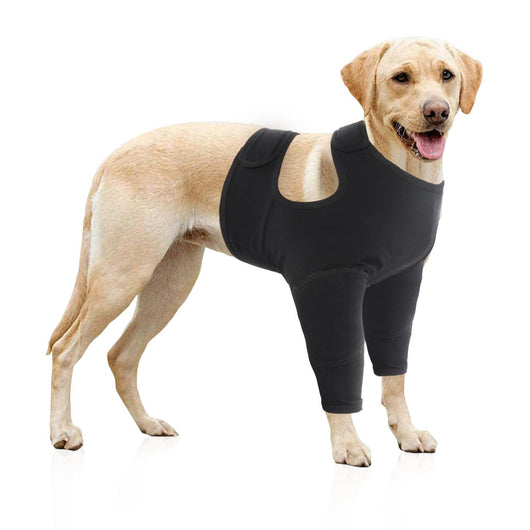 Protectores de Patas Delanteras para Perros - Doble Protección - Image 5