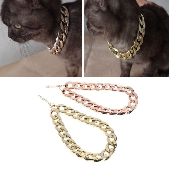 Collar de Seguridad para Cachorros con Cadena Dorada Gruesa Identificable