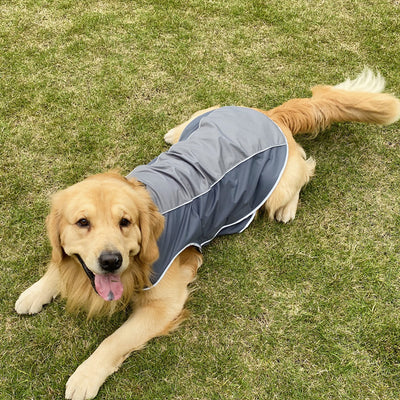 Abrigo Deportivo para Mascotas - Protección Otoño e Invierno - Image 3