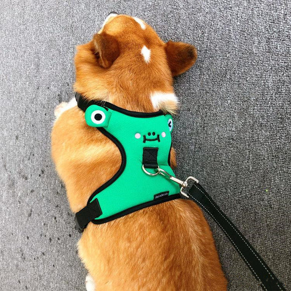 Arnés de Paseo para Perro Pequeño con Chaleco y Cuerda de Tracción