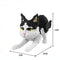 Juguetes de Armado DIY - Puzzles 3D Educativos