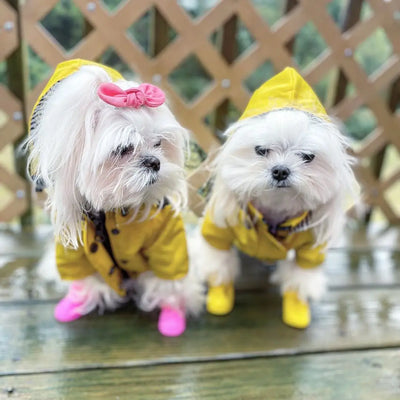 Impermeable para Perros - Abrigo Protector Contra Lluvia - Image 30