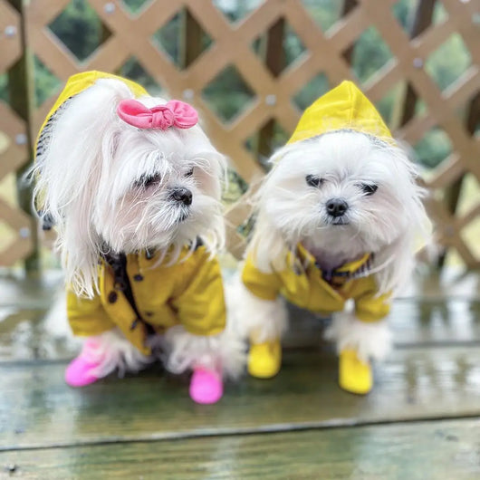 Impermeable para Perros - Abrigo Protector Contra Lluvia - Image 30