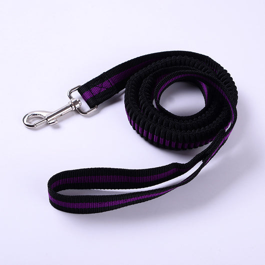Correa Elástica de Tracción para Perros Outdoor - Image 11