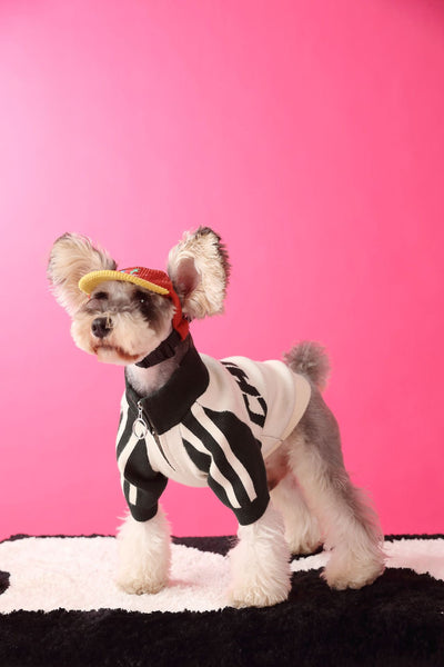 Suéter Deportivo para Perros - Cardigan Cómodo para Mascotas - Image 22