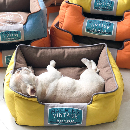 Casa Cama para Perro Desmontable y Lavable