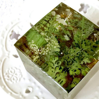 Cubo de Plantas Secas con Flores Deshidratadas y Musgo Natural - Image 4