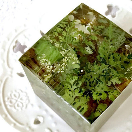 Cubo de Plantas Secas con Flores Deshidratadas y Musgo Natural - Image 4