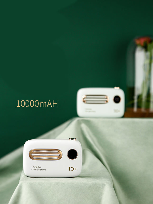 High-Capacity Portable Battery