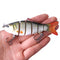 Peces Carnada Premium