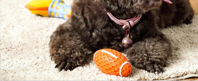 Juguete de Rugby Resistente para Perros Grandes - Diseño Duradero con Sonido Chirriante - Image 18