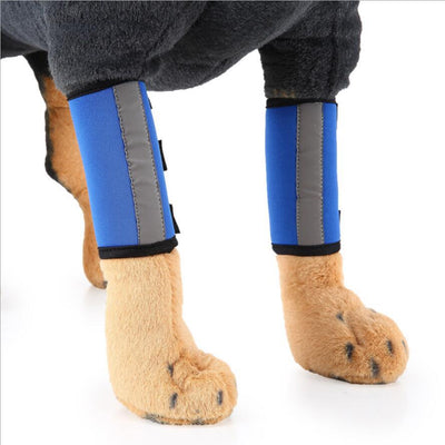 Protector de Pata para Perros - Soporte Ortopédico Ajustable - Image 6