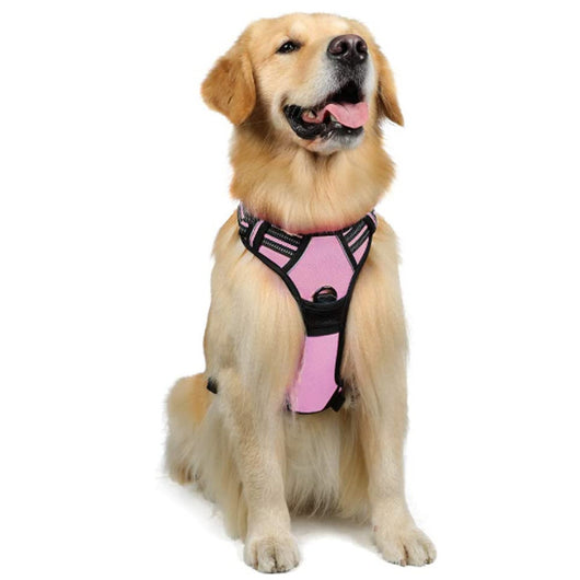 Chaleco Arnés para Perros Grandes con Correa Integrada - Image 17