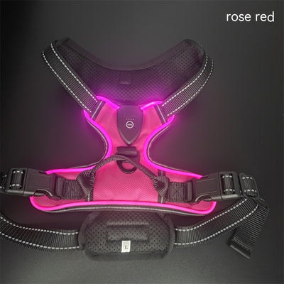 Chaleco LED Luminoso para Paseos Nocturnos de Mascotas con Destello Ajustable - Image 3