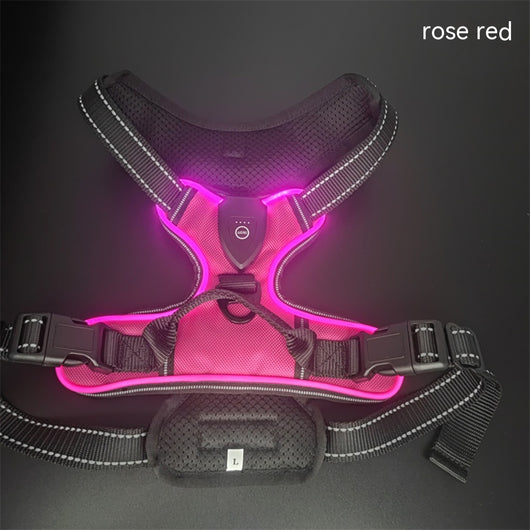 Chaleco LED Luminoso para Paseos Nocturnos de Mascotas con Destello Ajustable - Image 3