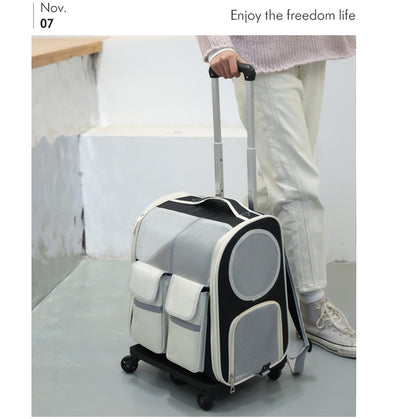 Mochila Transportadora para Mascotas - Bolsa Ventilada de Gran Capacidad - Image 17