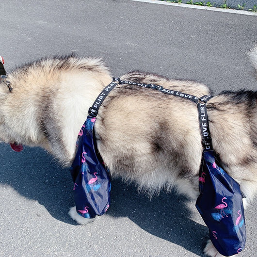 Impermeable Ajustable para Perros de Cuatro Patas - Image 16