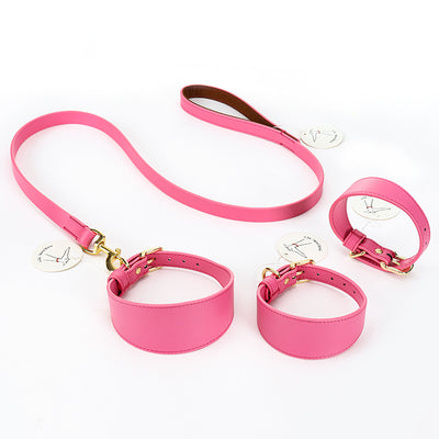 Set de Correas Suaves para Pasear Mascotas - Control Seguro y Cómodo - Image 20
