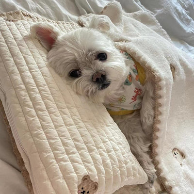 Cama Ortopédica para Perros con Funda Extraíble y Lavable - Image 11