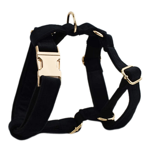Collar de Terciopelo para Perro - Suave y Elegante - Image 30