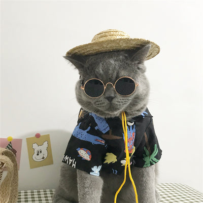 Ropa para Gatos - Diseño Cómodo y Elegante - Image 6