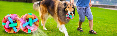 Pelotas Interactivas con Luz y Sonido para Perros y Gatos - Image 14