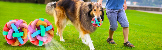 Pelotas Interactivas con Luz y Sonido para Perros y Gatos - Image 14